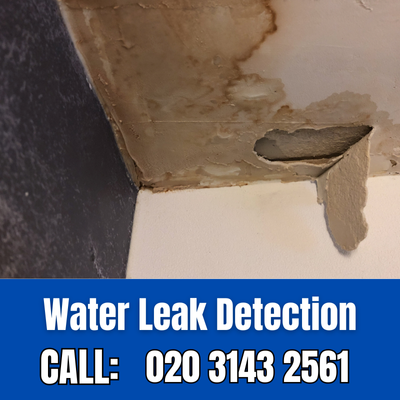 Expert Water Leak Detection Services in Highbury | Highbury Leak Detection